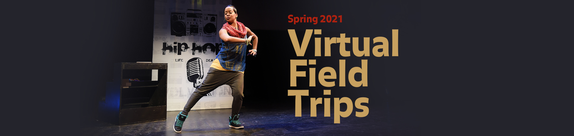 Virtual Field Trips