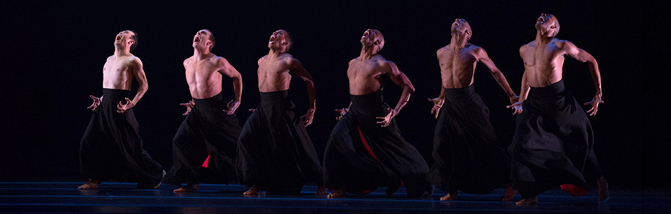 Alvin Ailey American Dance Theatre by Rosalie O'Connor