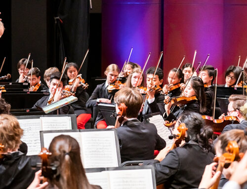 Culture Picks: Summer 2026