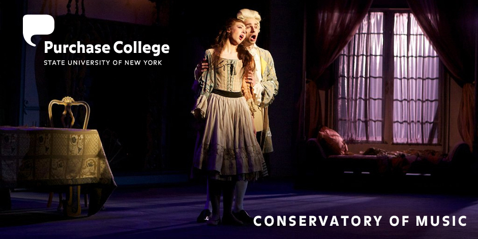 Purchase Opera: Die Fledermaus