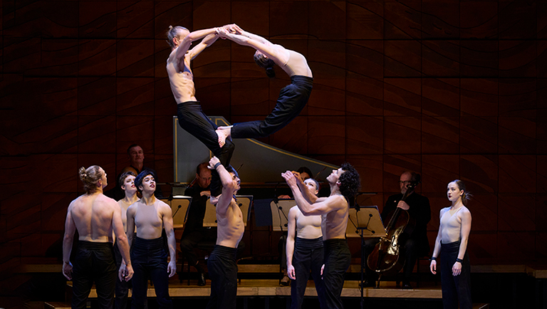 Circa acrobats